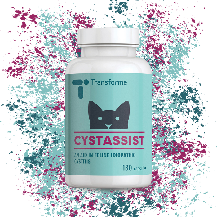 Cystassist Cat Cystitis Care, Feline Urinary Tract Support Supplement for Cats of All Ages
