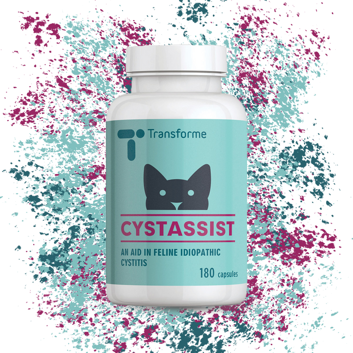 Feline idiopathic cystitis food best sale
