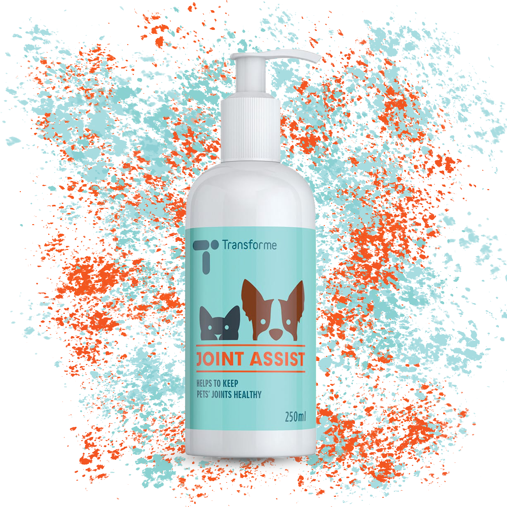 Liquid glucosamine for clearance dogs