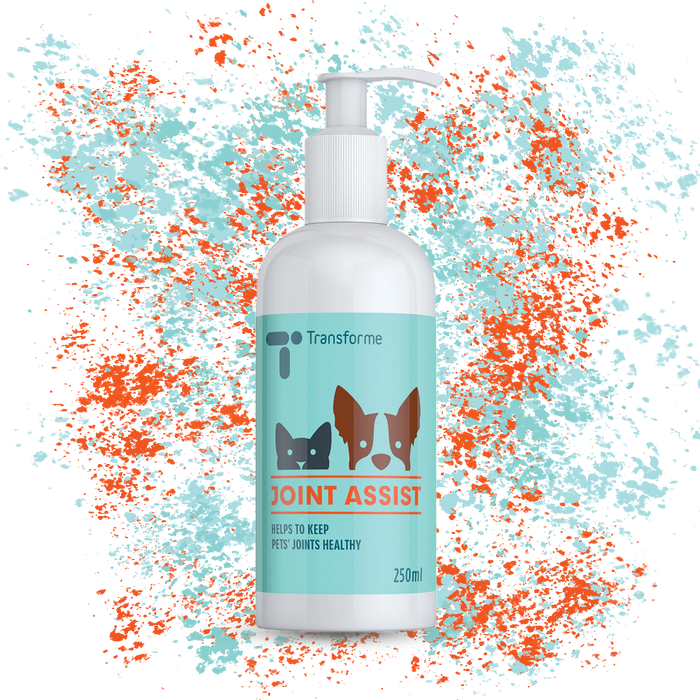 Joint Assist Pet Joint Supplement, Liquid Glucosamine for Dogs & Cats with a Tasty Beef Flavour