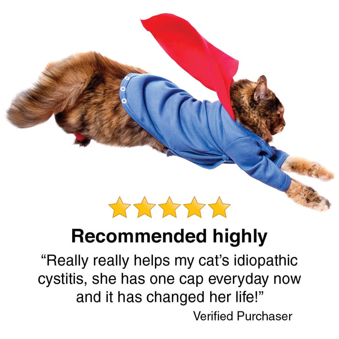 Transforme Cystassist customer review, 5 stars, really helps with my cat's idiopathic cystitis, image of cat with a cape jumping 