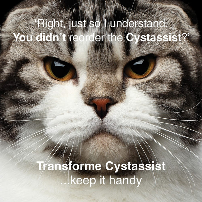 Funny image of stern looking cat saying - Right, just so i understand. You didn't reorder the Cystassist? Sign off line is, Transforme Cystassist ...keep it handy.