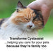 Cat, eyes closed, enjoying a head rub. Text says, Transforme Cystassist ...helping you care for your pets because they're family too.