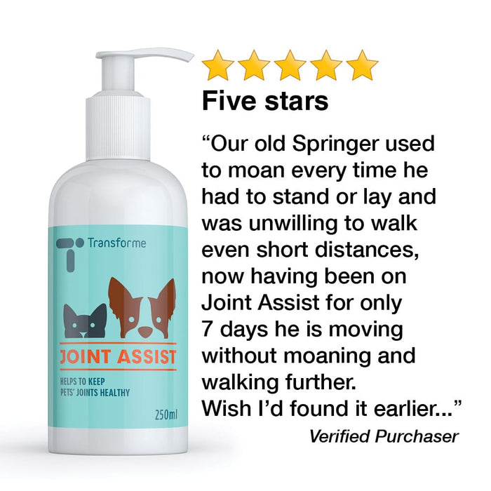 Transforme Joint Assist 5 star customer review after using for their dog