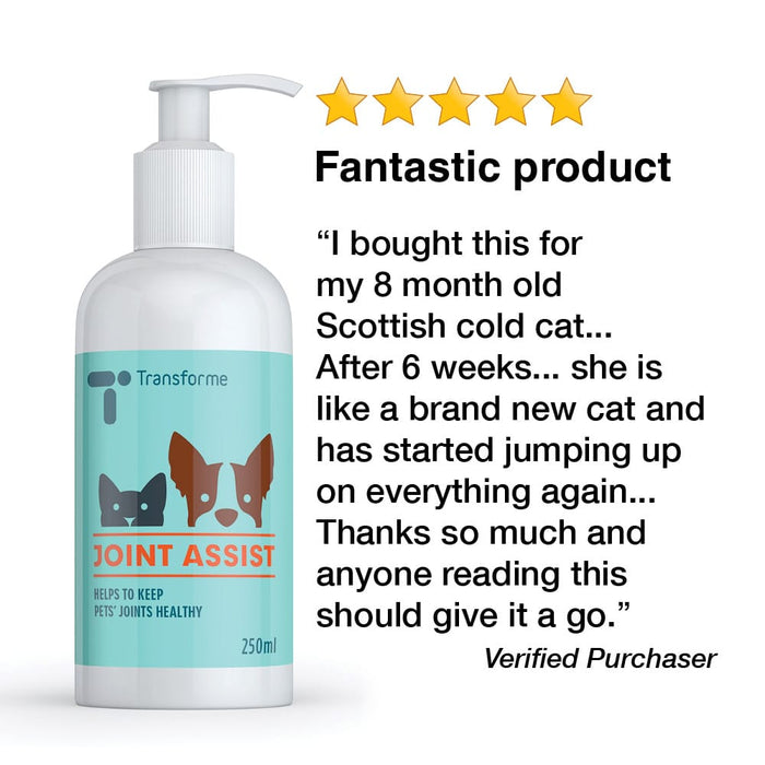 Transforme Joint Assist 5 star customer review after using for their cat